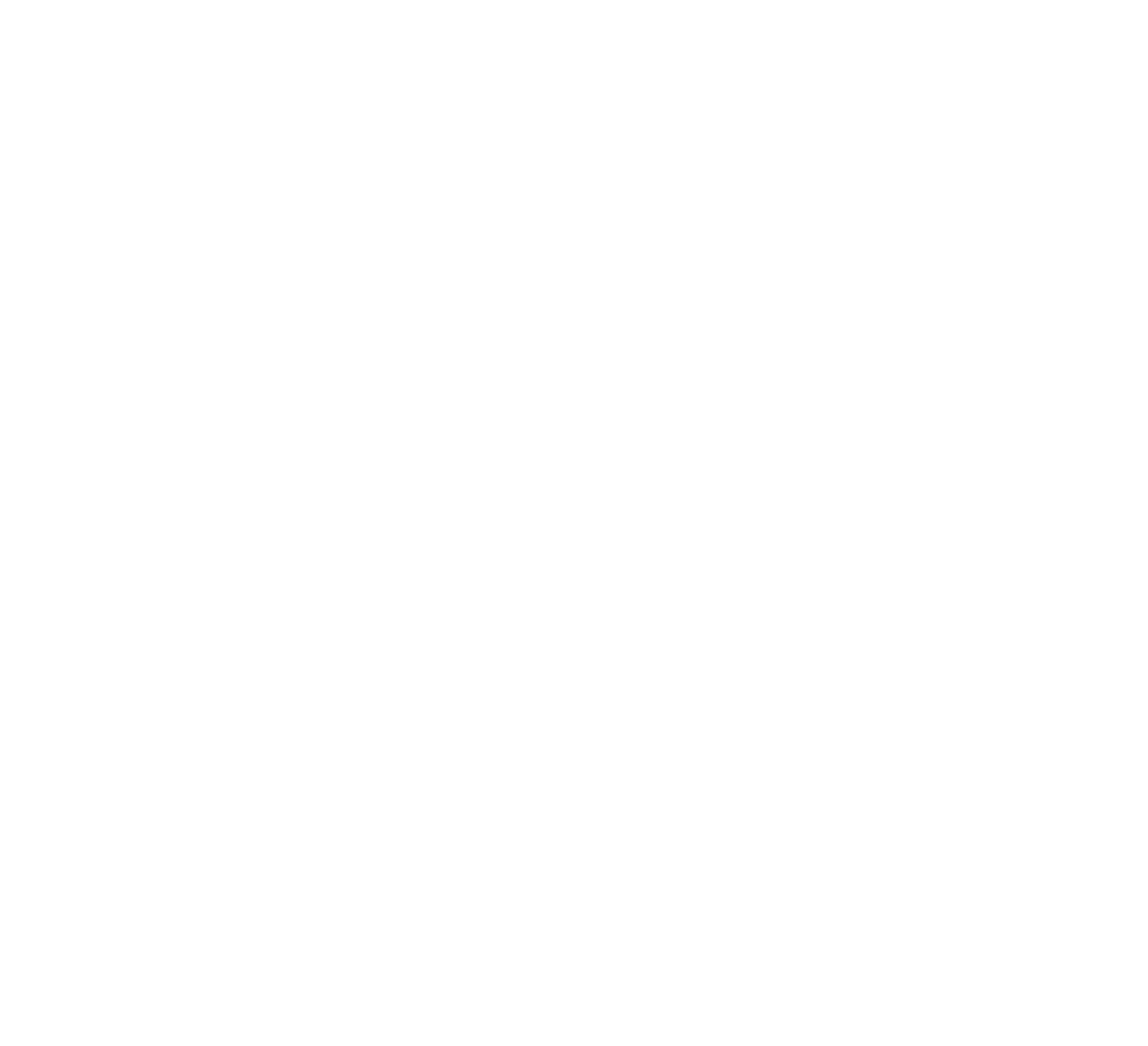 Erudisio